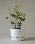 Self Watering Planter 215mm by Mr Kitly - THE PLANT SOCIETY