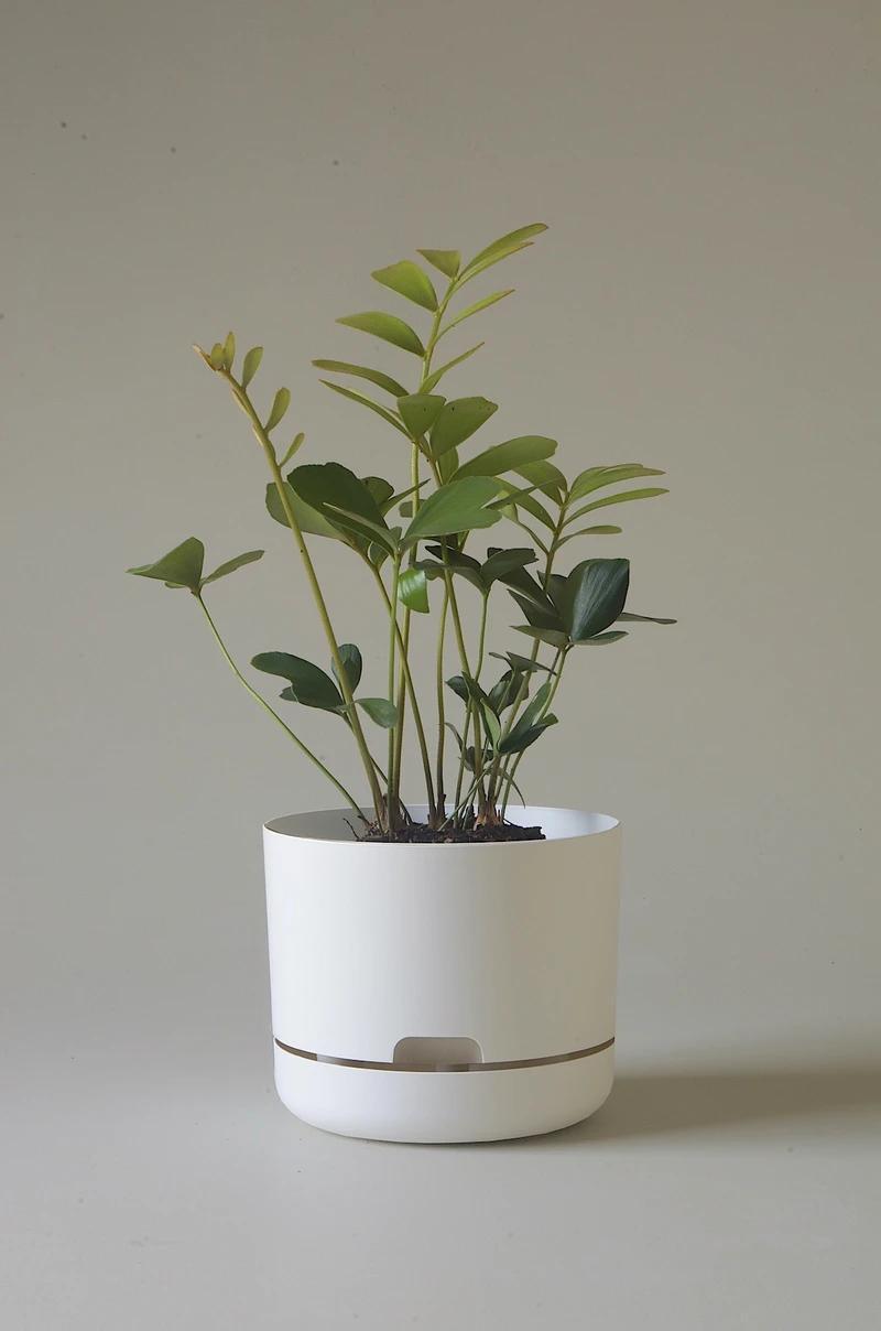 Self Watering Planter 215mm by Mr Kitly - THE PLANT SOCIETY