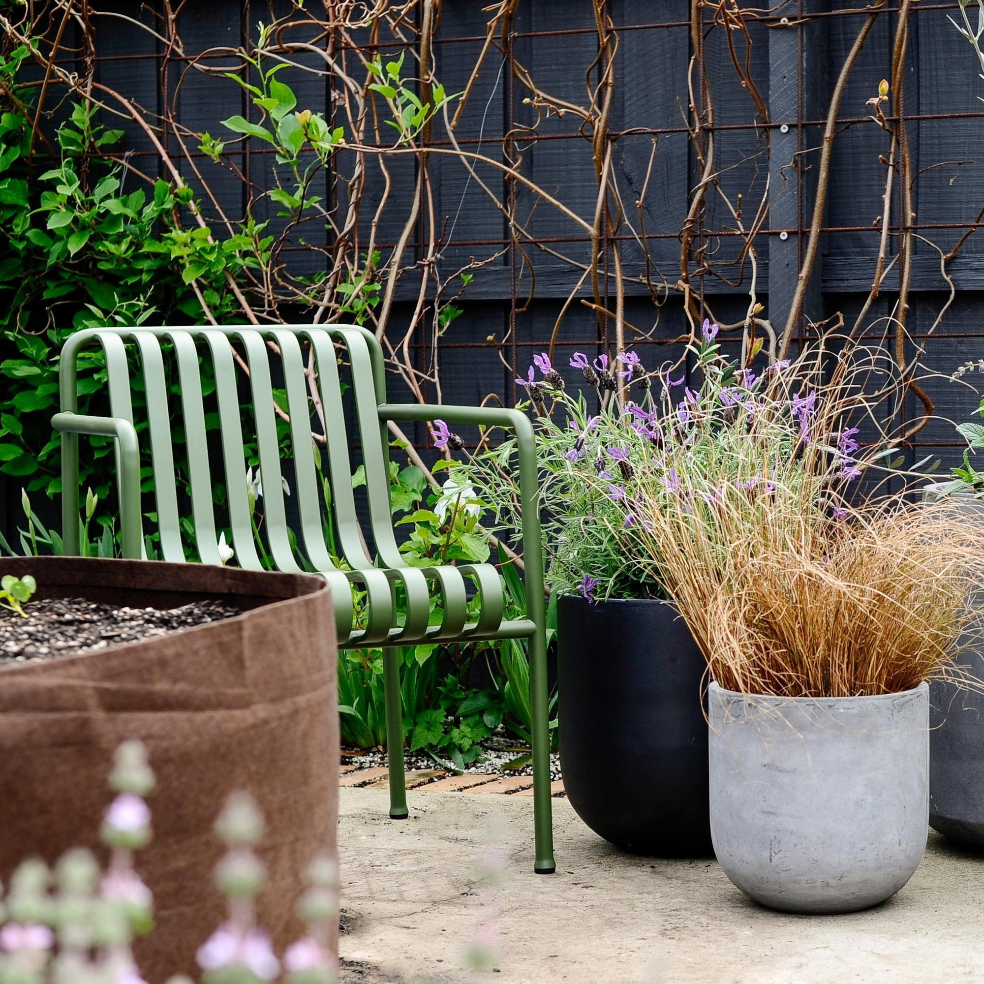 Urban &amp; Contemporary Collections by The Plant Society - THE PLANT SOCIETY