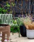 Urban & Contemporary Collections by The Plant Society - THE PLANT SOCIETY