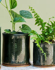 Moody Green Bench Planter by Jenn Johnston - THE PLANT SOCIETY
