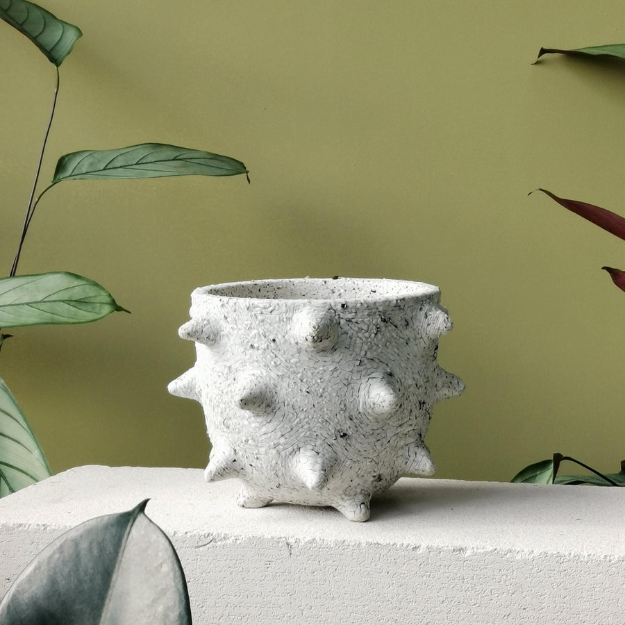 Spike Planter by Buzzby & Fang - THE PLANT SOCIETY