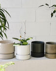 Cora Planter by The Plant Society in Quartz - Gloss - THE PLANT SOCIETY