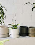 Cora Planter by The Plant Society in Slate - THE PLANT SOCIETY