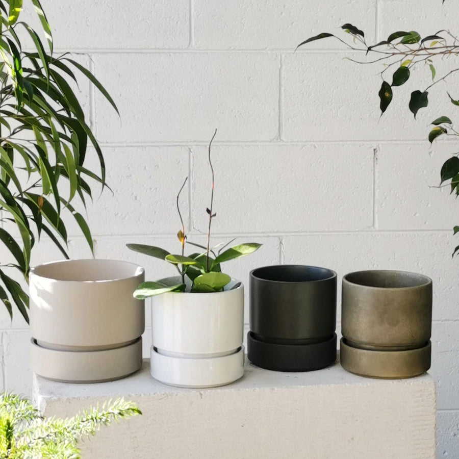 Cora Planter by The Plant Society in Stone - THE PLANT SOCIETY