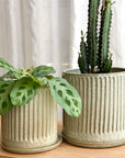 Olive Fluted Planter by Arcadia Scott