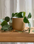 Kamma Flowerpot