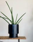 Midi Low Tower Planter by The Plant Society x Capra Designs- Totem Collection - - THE PLANT SOCIETY