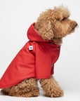 Sarah Dog Raincoat in Plain Adrenalin Red by The Painter's Wife - THE PLANT SOCIETY