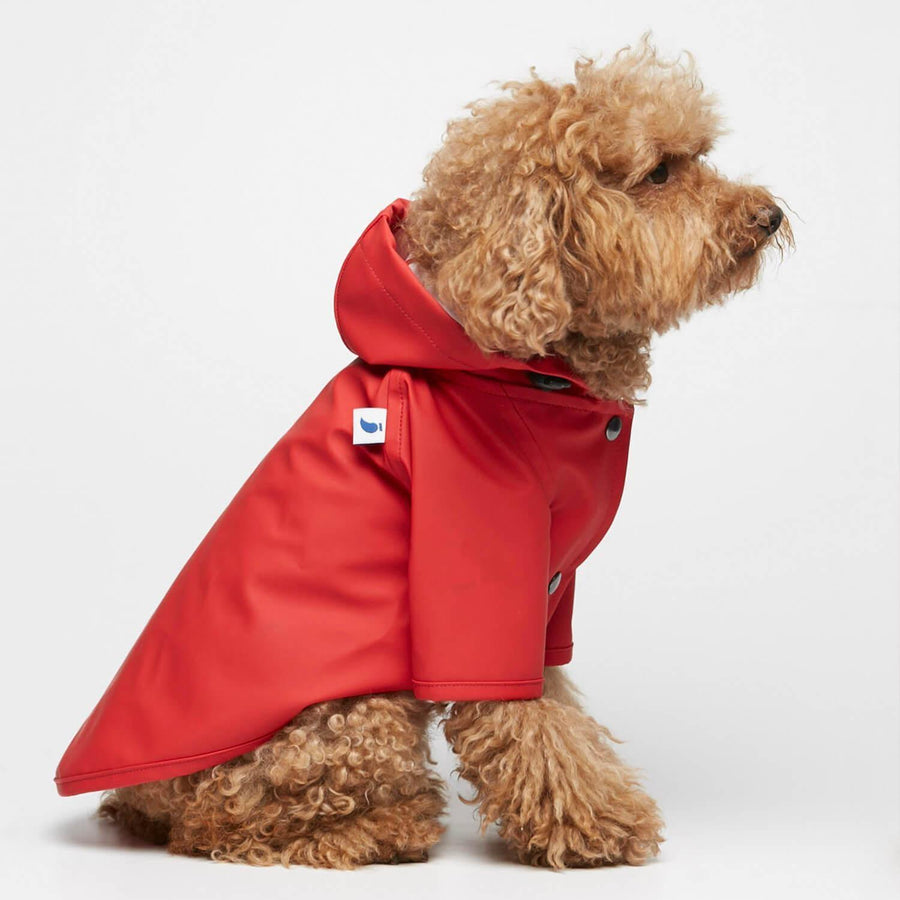 Sarah Dog Raincoat in Plain Adrenalin Red by The Painter's Wife - THE PLANT SOCIETY