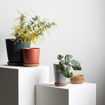 Bonnie Planter in Brick by Evergreen Collective