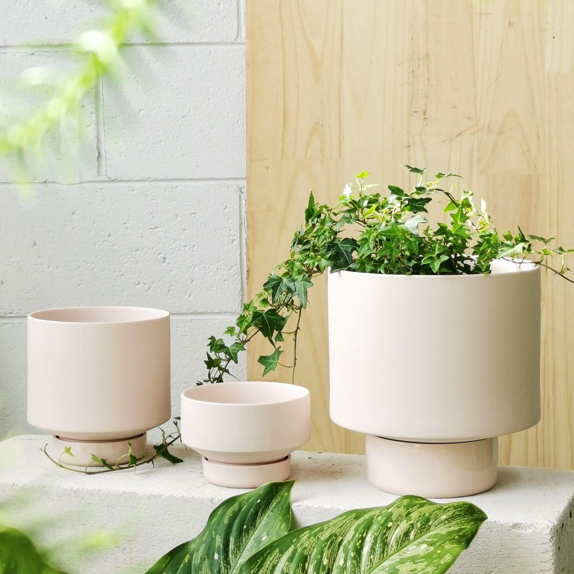 Soft Pink Collectors Gro Pot by Angus &amp; Celeste - THE PLANT SOCIETY