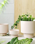 Soft Pink Collectors Gro Pot by Angus & Celeste - THE PLANT SOCIETY