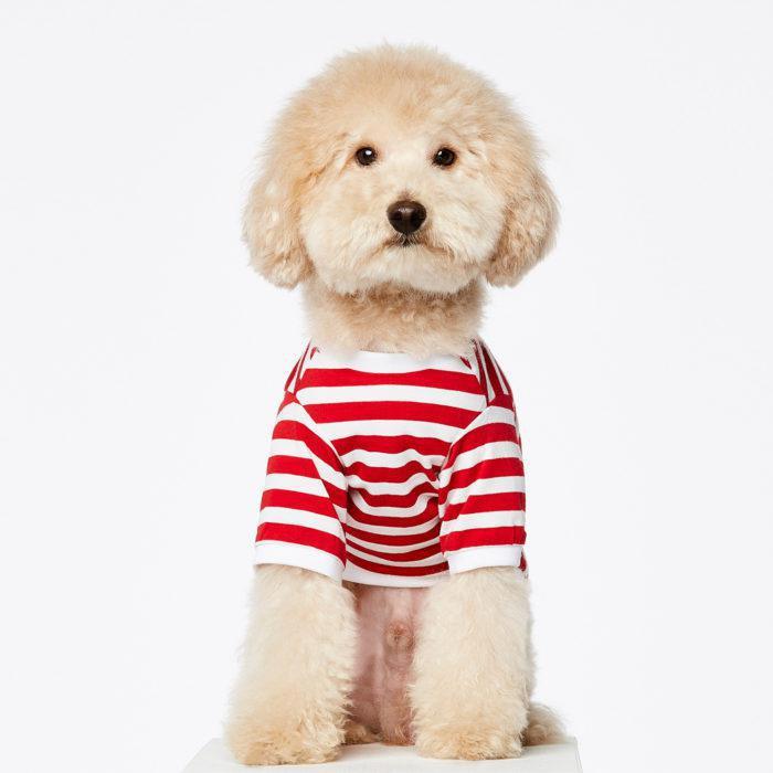 David Stripped Dog T-Shirt in Red by The Painter&#39;s Wife - THE PLANT SOCIETY