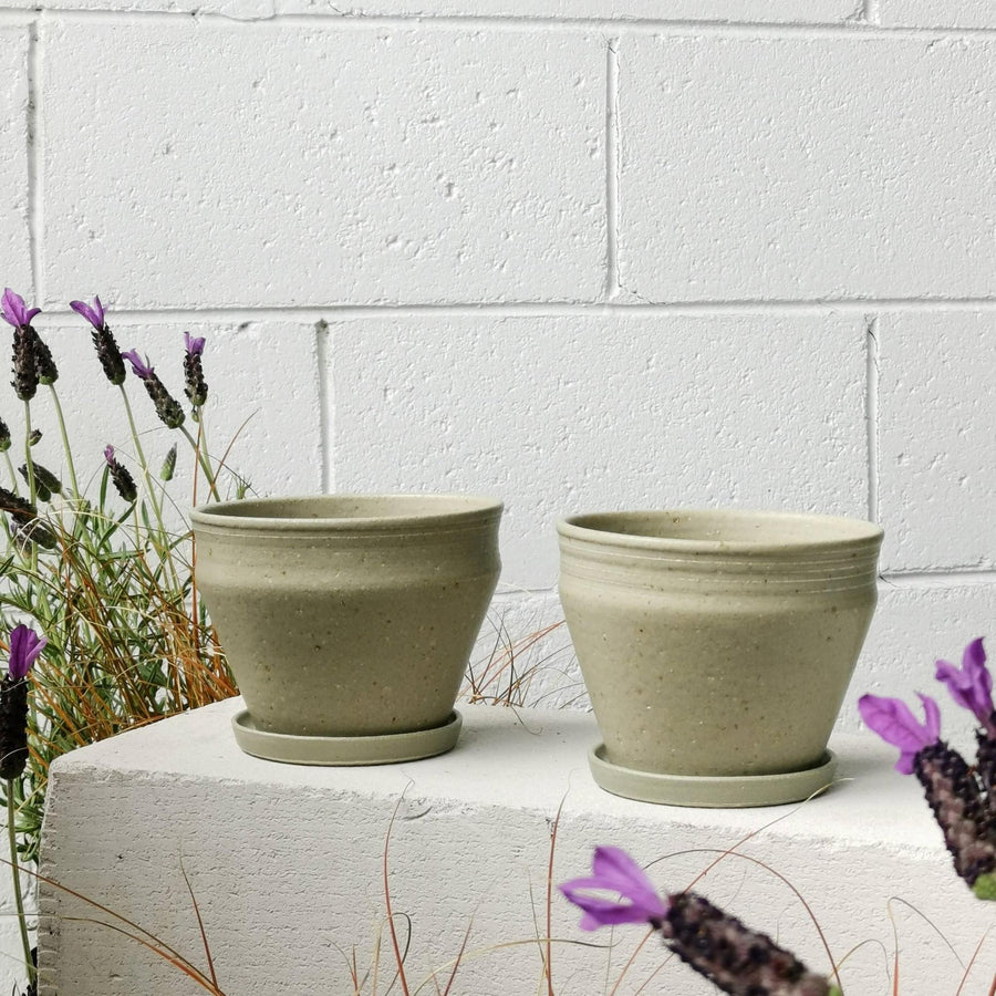 Mini Planter by Alison Frith - THE PLANT SOCIETY