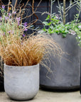 U-Planter - THE PLANT SOCIETY