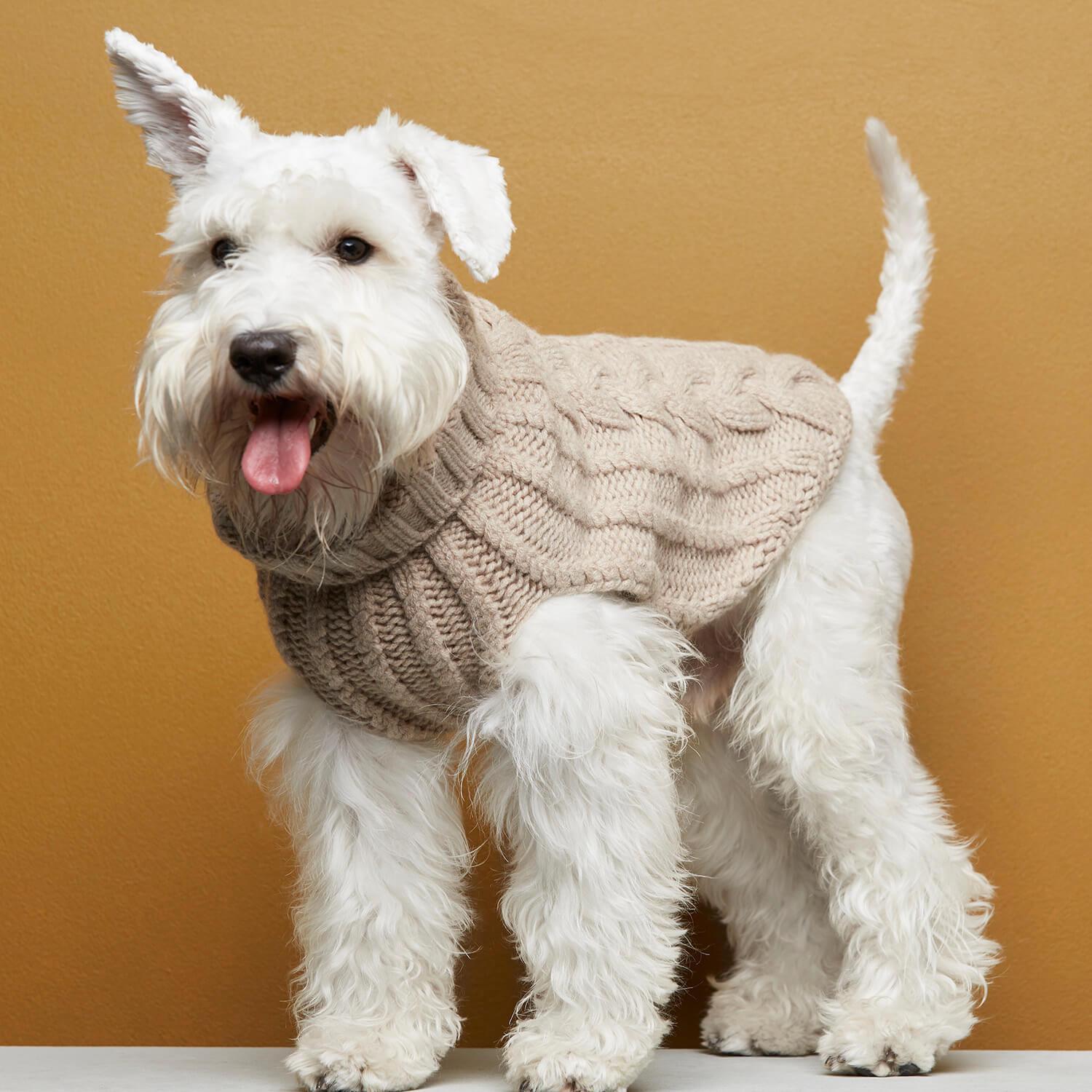 John B Dog Coat in Beige by The Painter&#39;s Wife - THE PLANT SOCIETY