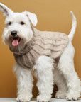 John B Dog Coat in Beige by The Painter's Wife - THE PLANT SOCIETY