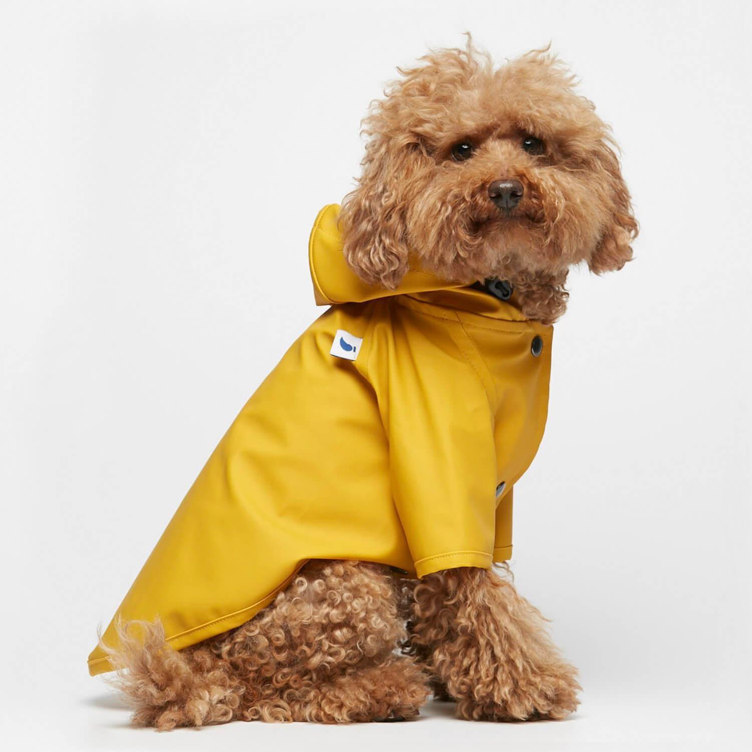 Sarah Dog Raincoat in Plain Spectra Yellow by The Painter&#39;s Wife - THE PLANT SOCIETY