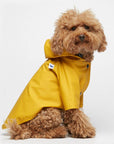 Sarah Dog Raincoat in Plain Spectra Yellow by The Painter's Wife - THE PLANT SOCIETY