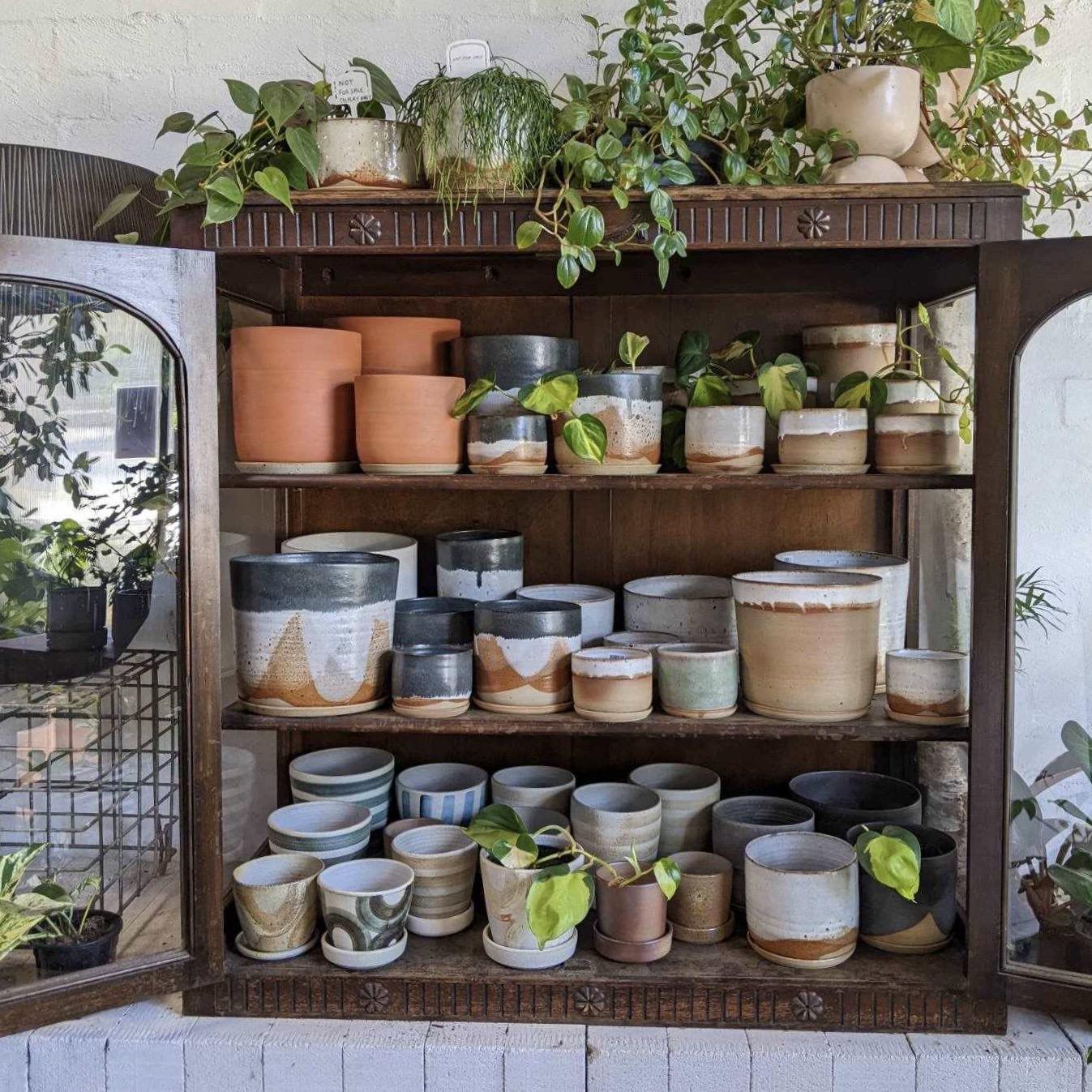 Virtual shopping - Collingwood Flagship (VIC) - THE PLANT SOCIETY