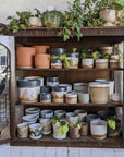 Virtual shopping - Collingwood Flagship (VIC) - THE PLANT SOCIETY