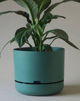 Self Watering Planter 375mm by Mr Kitly
