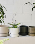 Cora Planter by The Plant Society in Quartz - Matt - THE PLANT SOCIETY