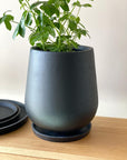 Charcoal Ceramic Saucer